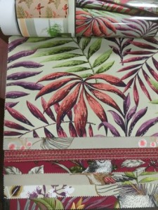 Rainforest cranberry