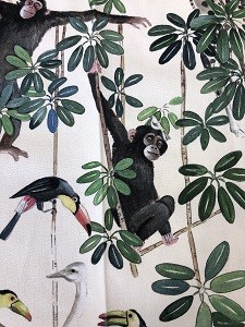 テブノンさるアップ