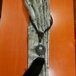 ｸﾞﾚｰ＆ﾌﾞﾗｯｸﾀｯｾﾙ